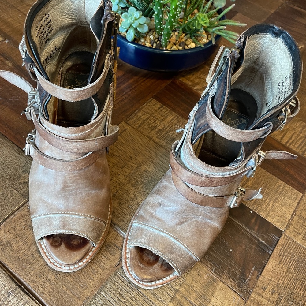 Freebird Carterr Size 6 - Tan